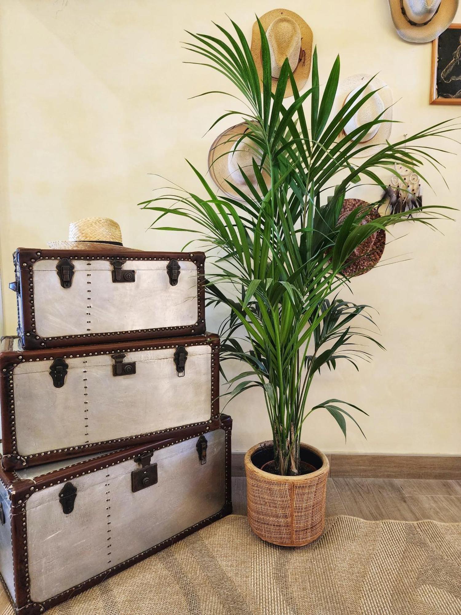 Hotel Bellariva Lido di Jesolo