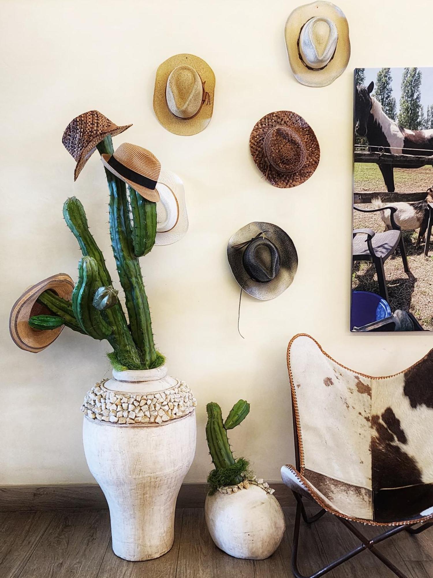 Bellariva 3* Lido di Jesolo