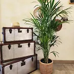 Hotel Bellariva