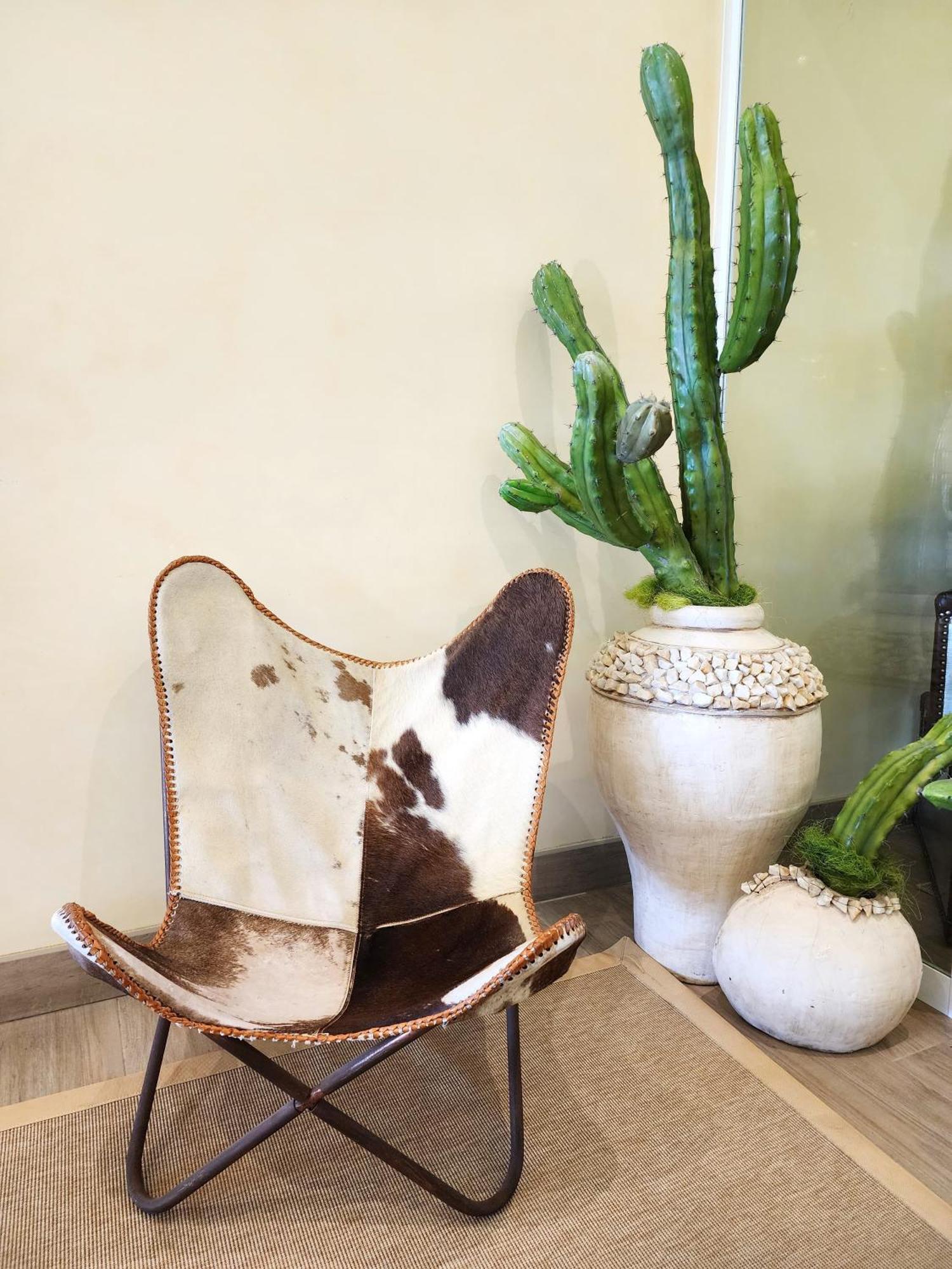 Bellariva Lido di Jesolo